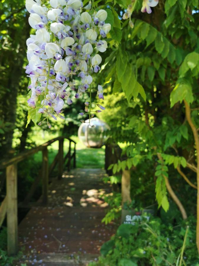 Rose In Vale Country House Hotel St Agnes  Dış mekan fotoğraf