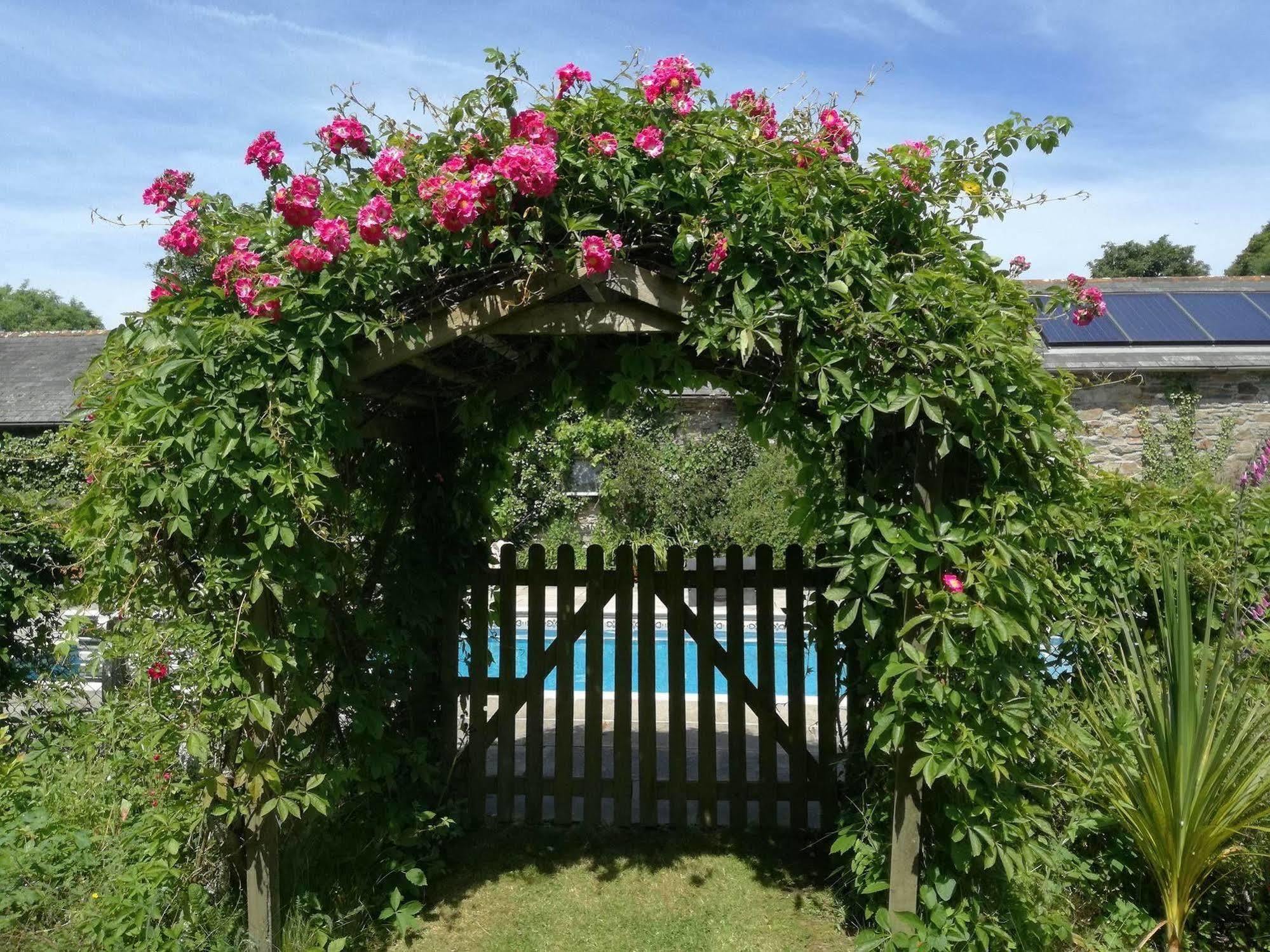 Rose In Vale Country House Hotel St Agnes  Dış mekan fotoğraf